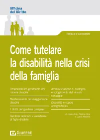 Copertina del libro Come tutelare la disabilità nella crisi della famiglia